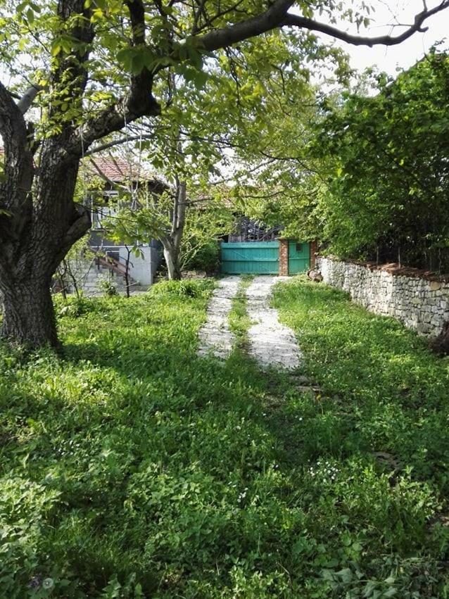 Beefree Villa Gorsko Slivovo Eksteriør bilde